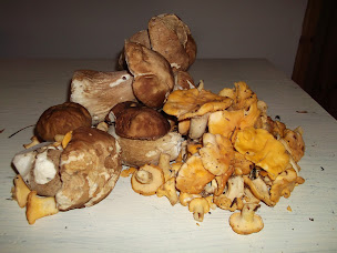 Photo n°8 de Le Charron à Saint-Étienne-du-Vigan (Chambre d'hôtes)