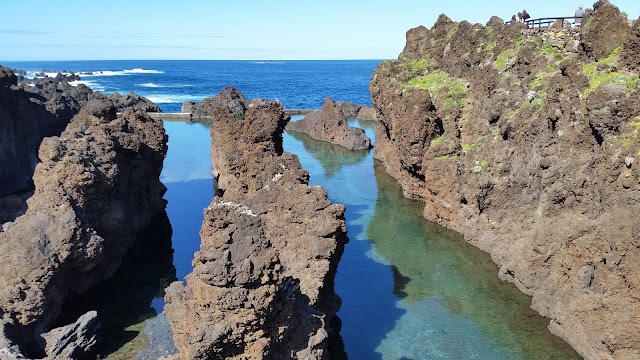 Natural Swimming Pool