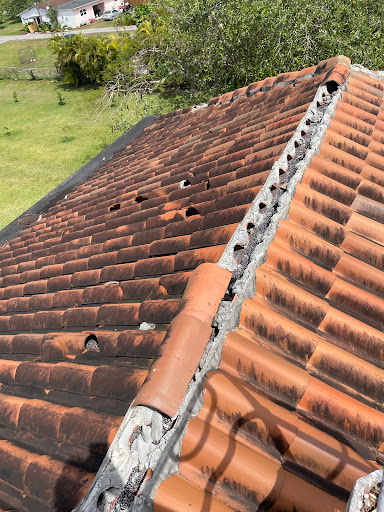 Randy Roofing - Thumbnail