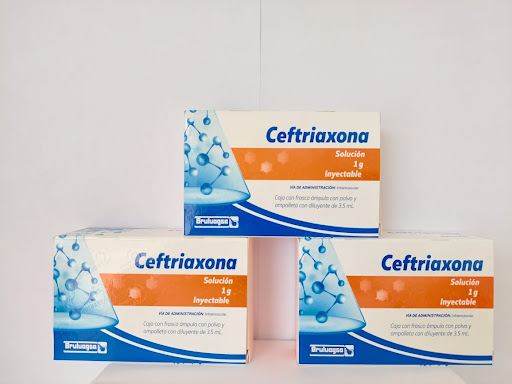 Farmacia - Farmavida Haciendas del Bosque - Thumbnail