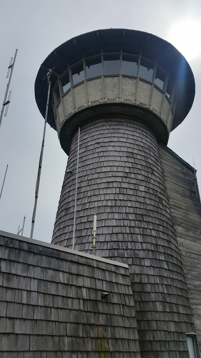 Brasstown Bald