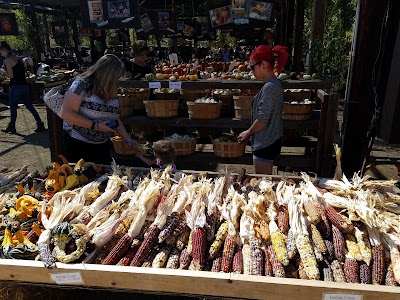 Photos of Live Oak Canyon Pumpkin Patch