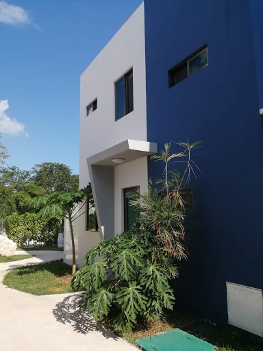 Paradise sales and management