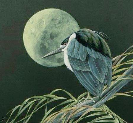 Art LaMay Studios - Visual