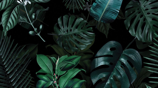 Massage Utopia - Visual