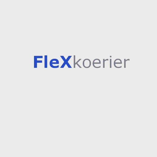 Flex Koerier - Visual