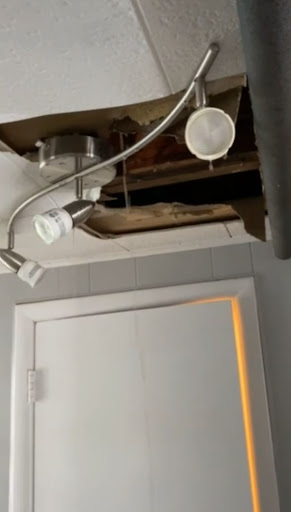 Ed Lane Plumbing Inc - Thumbnail