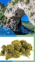 Photo n°5 de Le Jardin Secret à Uzès (Magasin de cannabis)