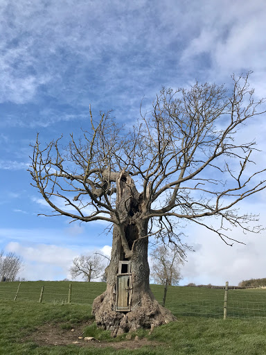 Danby Hall - Visual