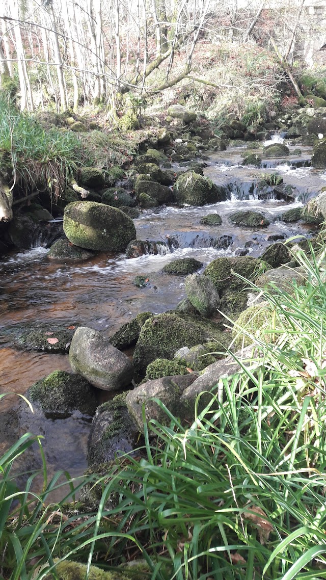 Montagnes de Wicklow