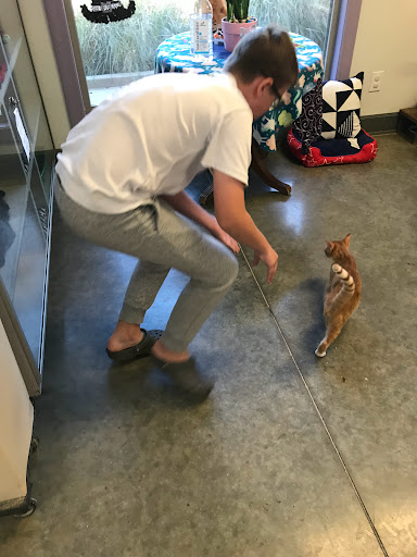 Columbus-Lowndes Humane Society - Thumbnail