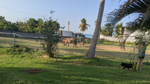 Evamer Studios and bungalows - Thumbnail