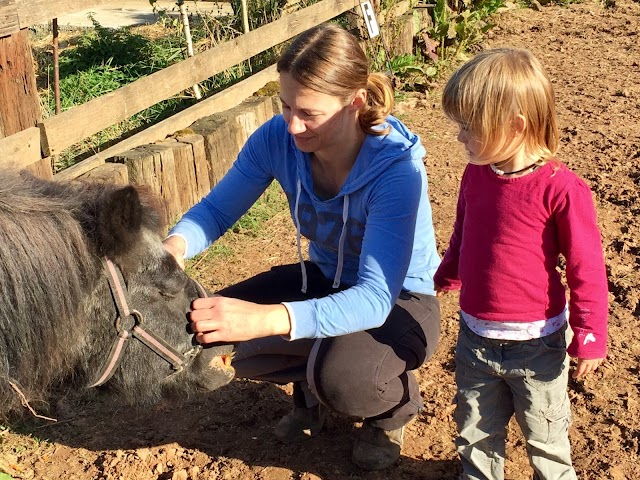 "Les Chemains" centre d'hippotherapies asbl