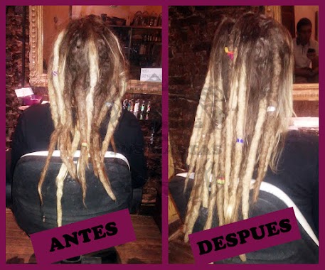 Consulta x Tus Rastas, Author: martina sercovich