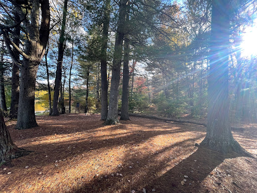 Hanofee Park - Thumbnail