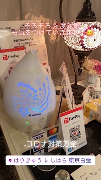 はりきゅうにしはら 東京白金