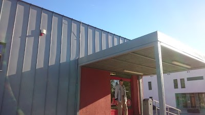 grocery-or-supermarket