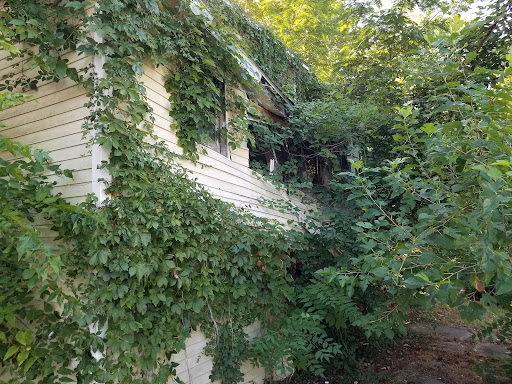 Carthage Water & Electric Plant - Thumbnail
