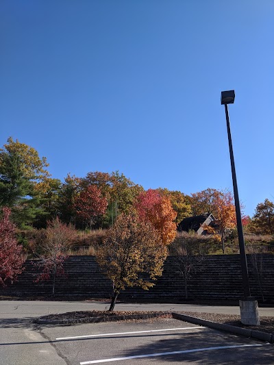 Garden Center at The Home Depot