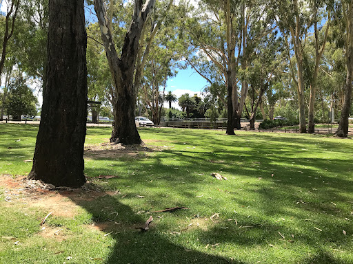 Ball Park Lagoon, Corowa (access via Edward Street) - Thumbnail