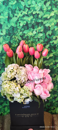 Floreria Alvy - Thumbnail