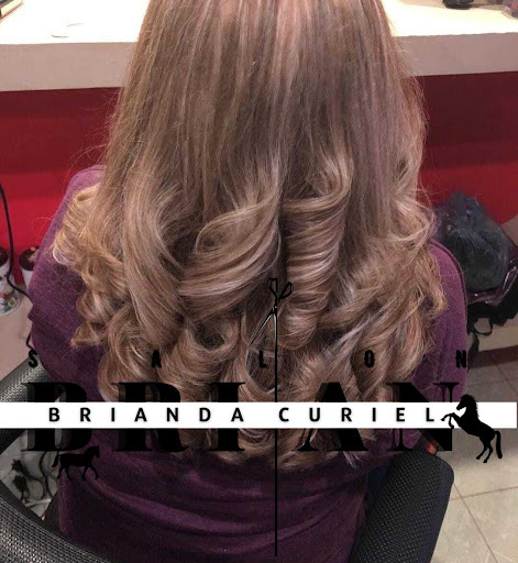 Salon Brian - Visual