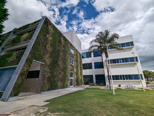 Buap - Visual