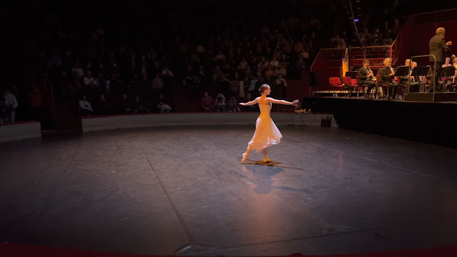 Opinii despre Cirque Jules Verne - Pôle National Cirque Amiens în Amiens - Musée