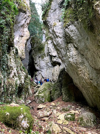 Fosso Del Crino