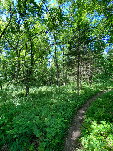 Bonnie View Nature Sanctuary - Thumbnail