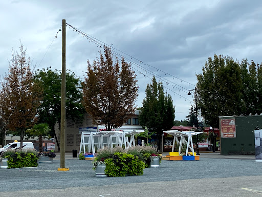 Aldergrove Plaza