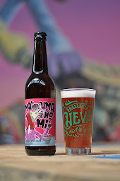 Photo n°8 de Brasserie Cheval à Toul (Bar)