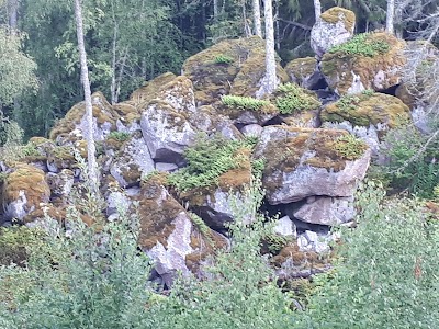 photo of Drags Udde- Nature reserve