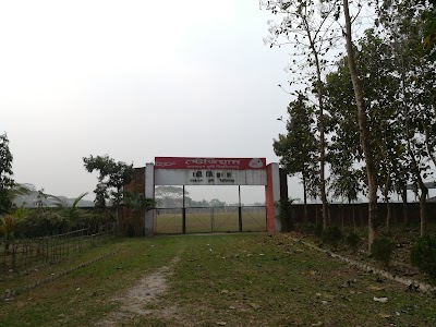 stadium