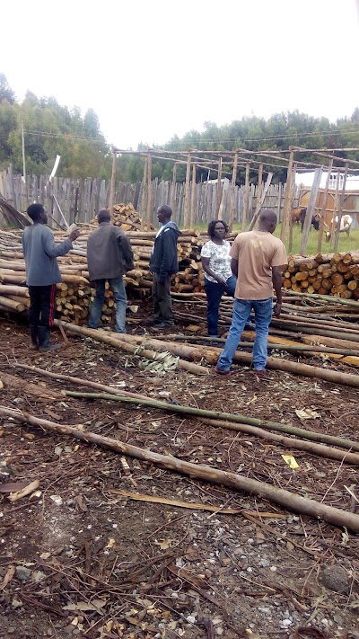 Photos of Kimumu