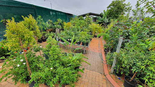 Towers Garden Centre - Thumbnail