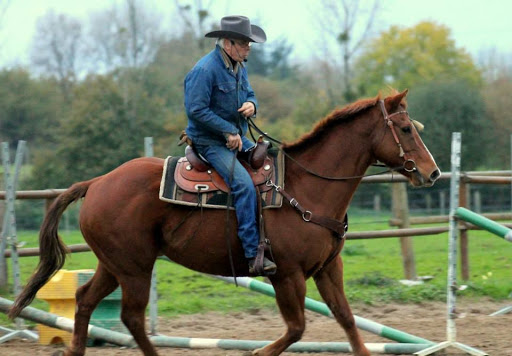 Equestrian Center De La Meilleraie - Thumbnail