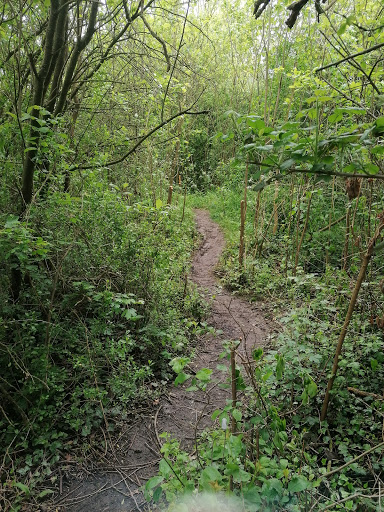 Rushley Park - Visual