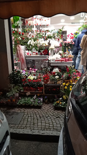 I Fiori Di Francesca - Thumbnail