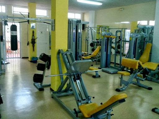 Musclecenter - Thumbnail