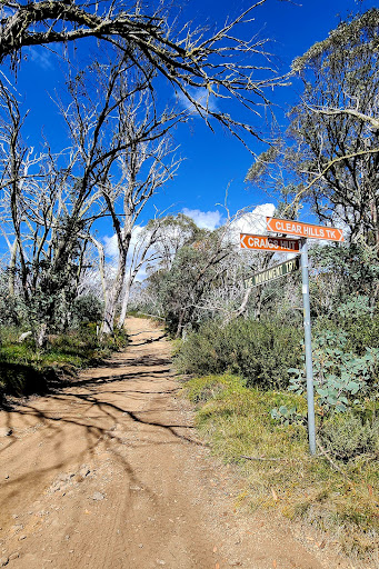 Information board - Thumbnail