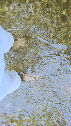 Les pieds dans l'Avre - Thumbnail
