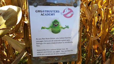 Photos of Thistleberry Farm