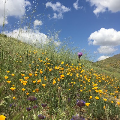 Photos of Riverside County Regional Conservation Authority