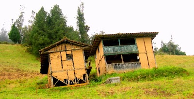 Photos of All Things Alpaca Ecuador