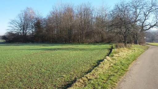 Vogelschutzanlage