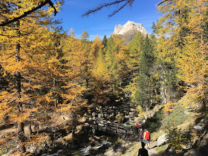 Photo n°9 de Esprit Jeûne à Saint-Sauveur-en-Rue (Centre de yoga)