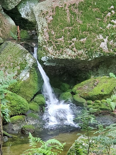 Squam Lakes Natural Science Center