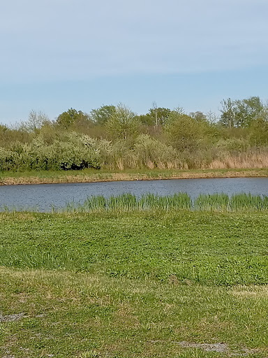 Supawna Wildlife Refuge Observation Point Gallery - United States