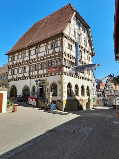 Gartenschau Eppingen 2022 - Thumbnail